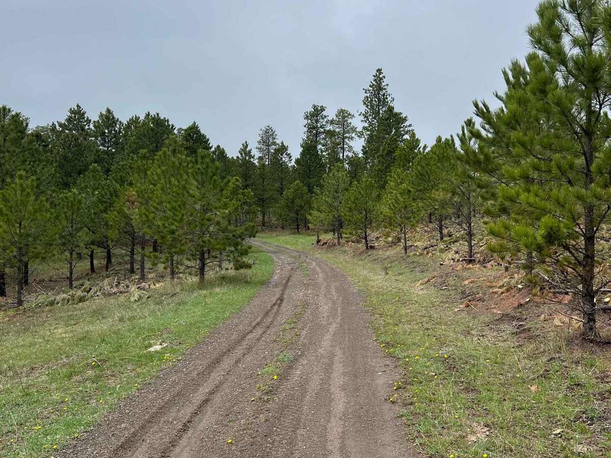 East Gimlet Trail photo 4
