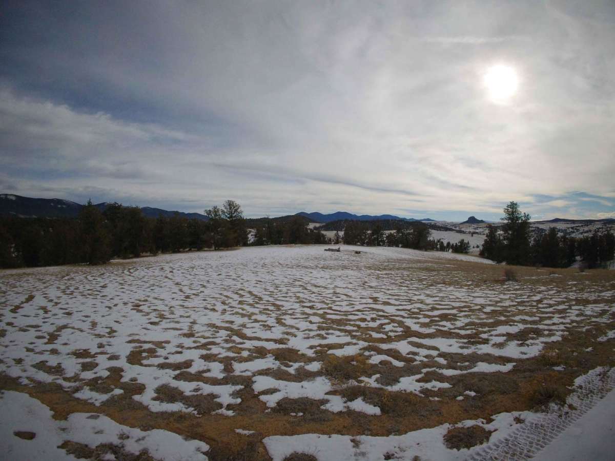 Reese Road - FS 844 photo 3
