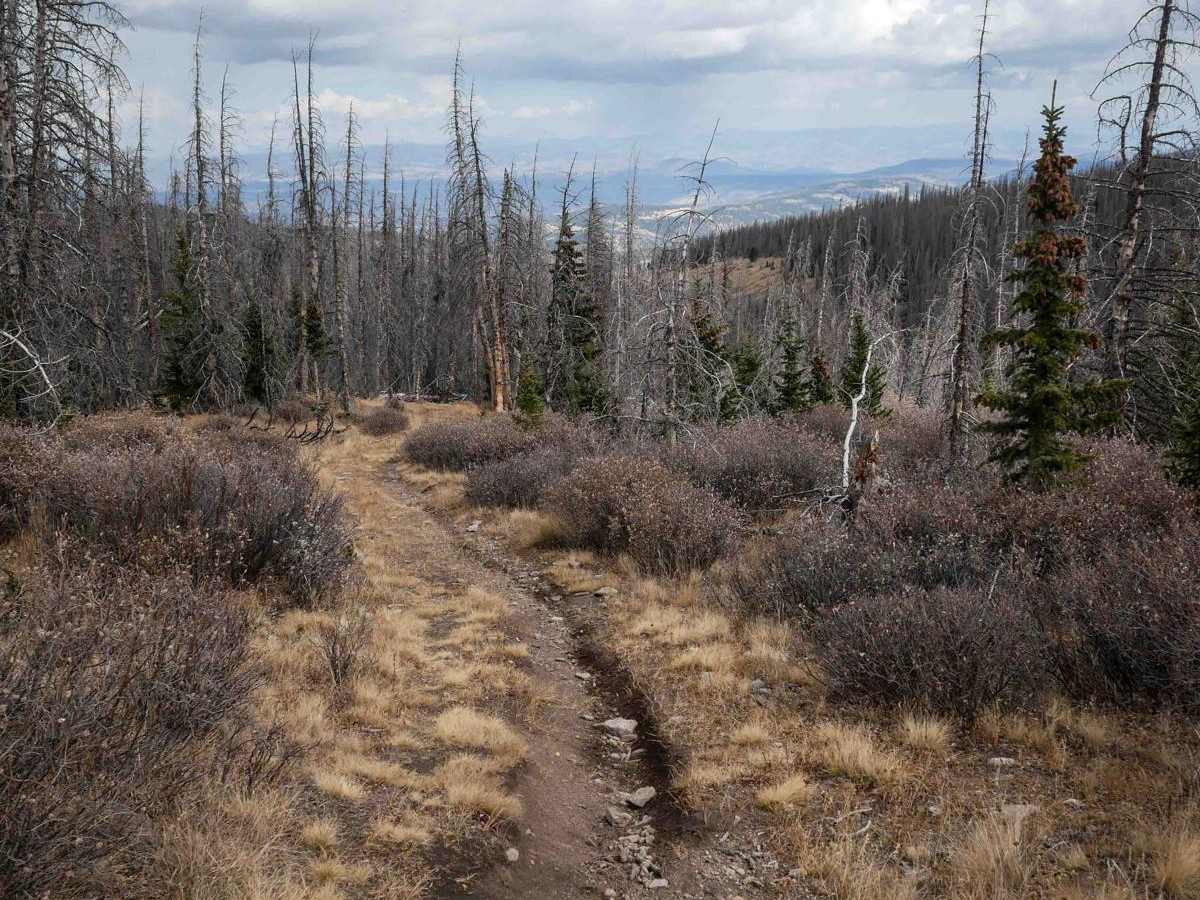 Bowers Peak trail photo