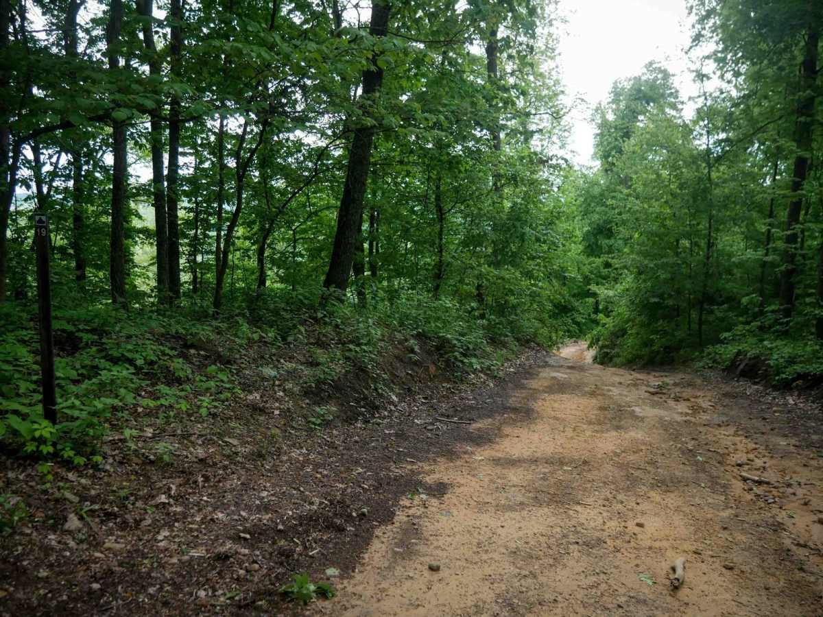B19 trail photo