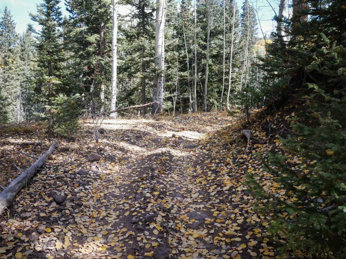 B Spur photo 6