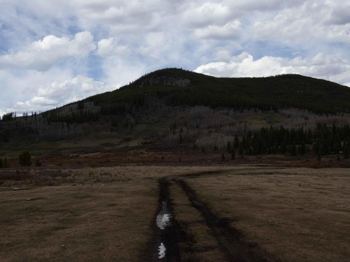 Quirk Ridge trail photo