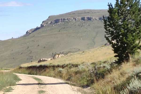 Limestone Mtn Rd (FS 326)
