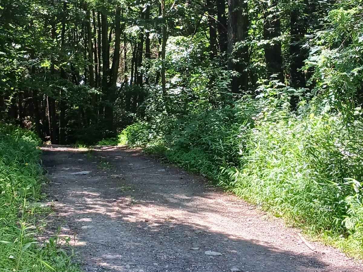 Hawk Lane - Rock Run Recreation Area photo 3