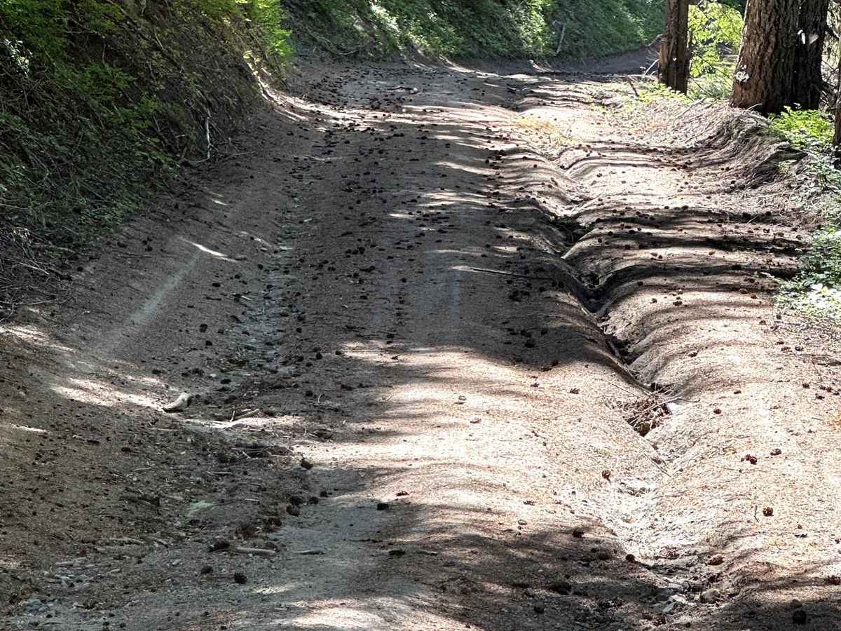 Greenhorn Creek Road photo 4