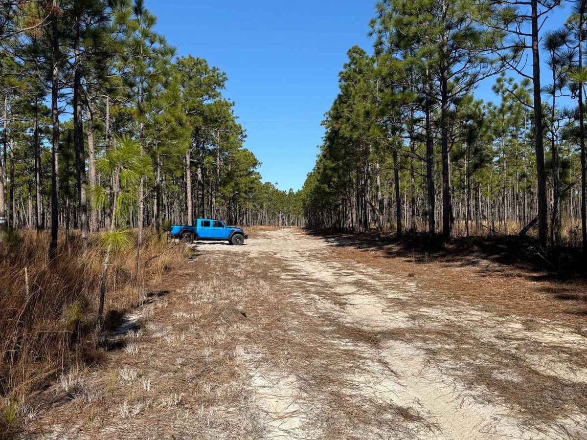 Pettiford Creek Trail 2 photo 2