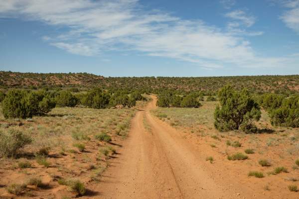 Canyonlands Overlook