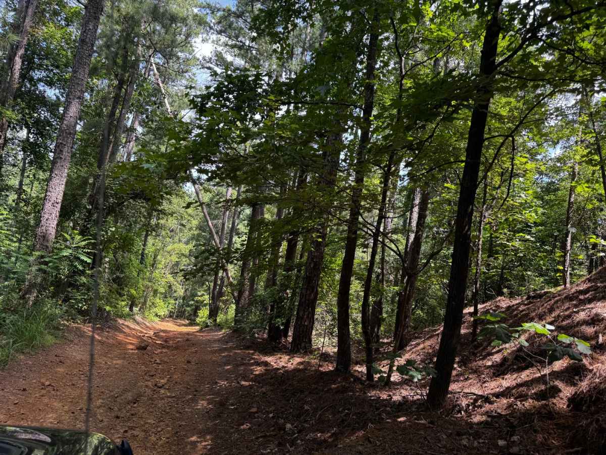 Old Camp Road photo 2