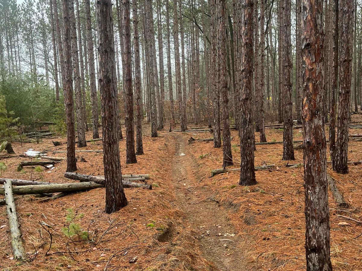 Horseshoe Motorcycle Trail Part 2 photo 5