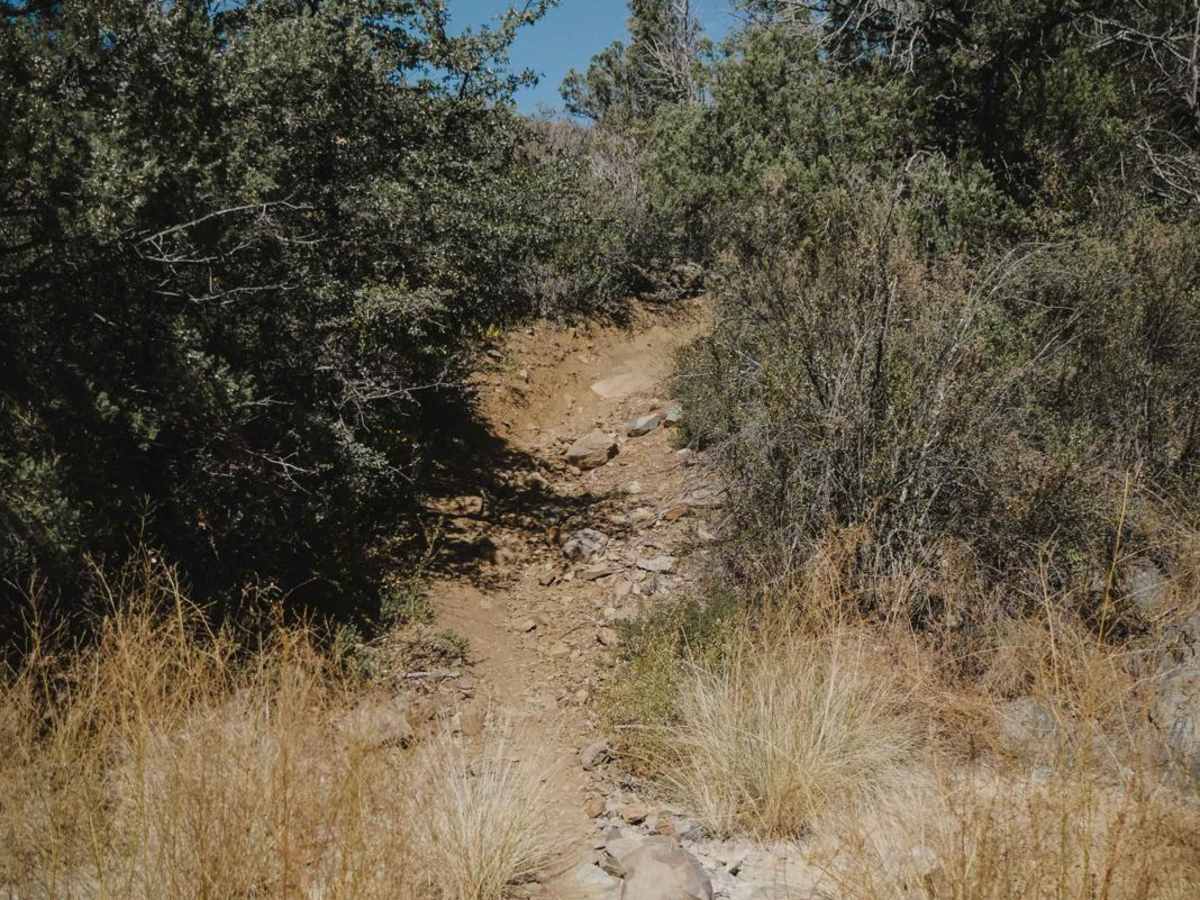 Pine Creek photo 6