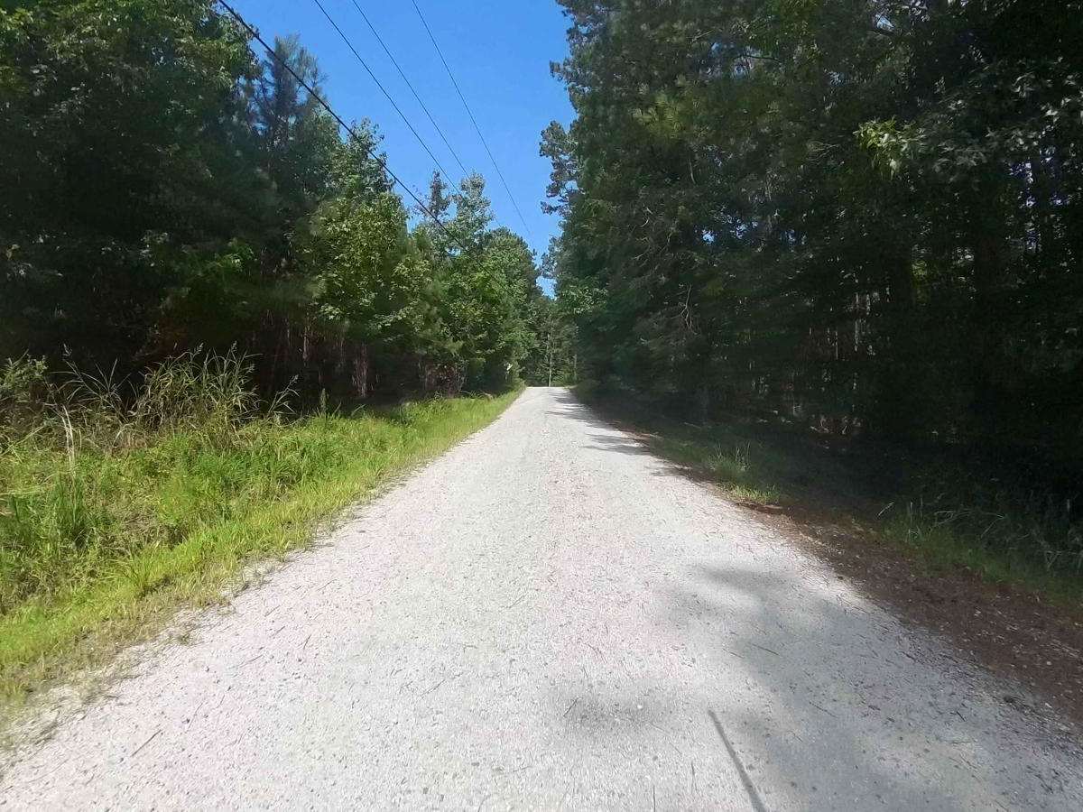 Bishop Road photo 5