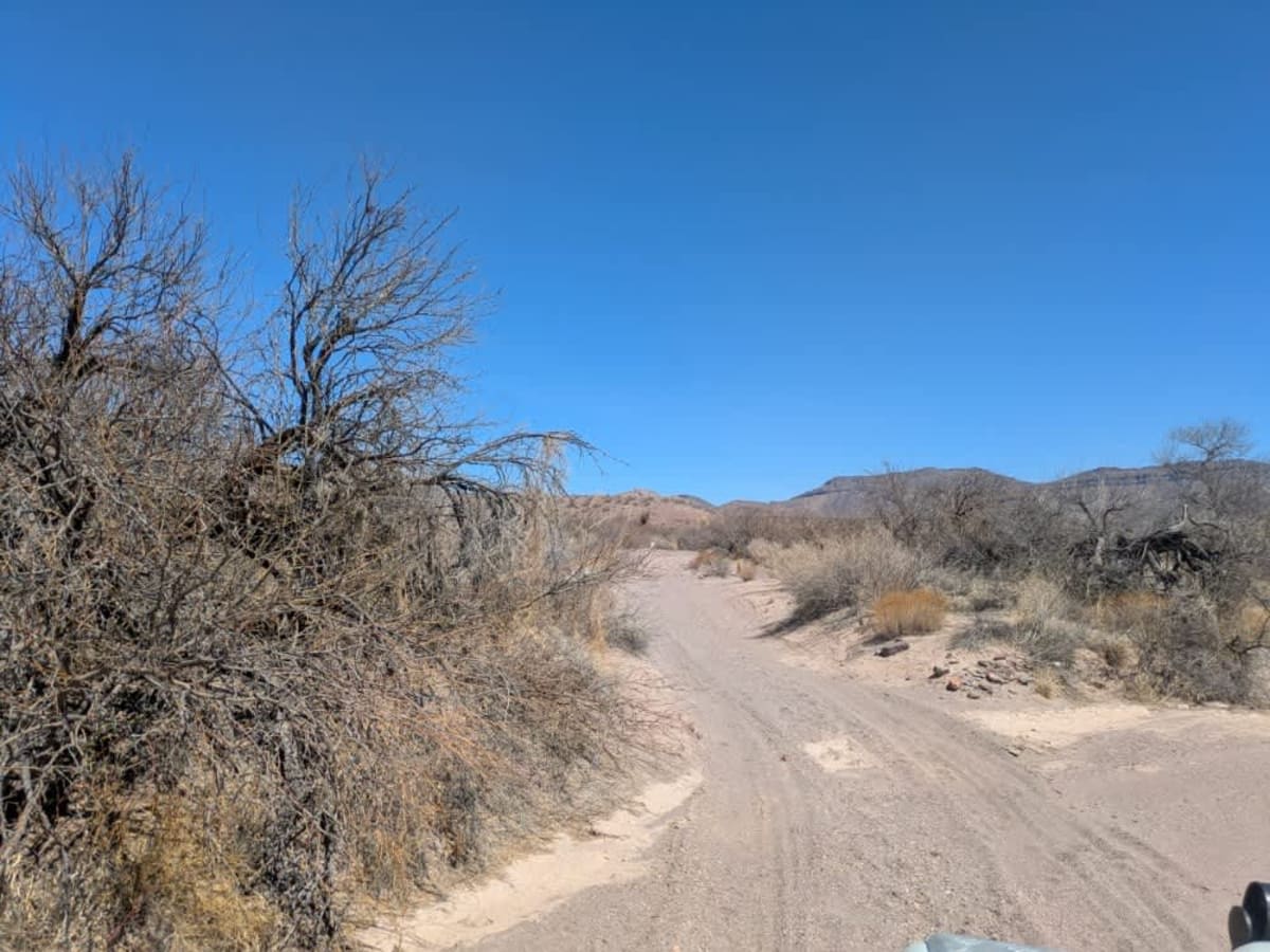 Ss1075 photo 4