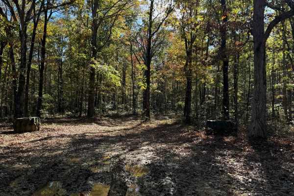 #81 Ridgeline Trail