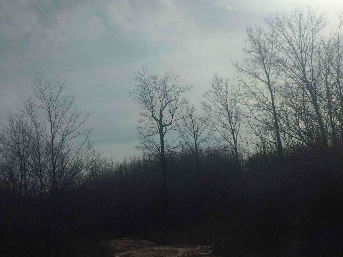 Lady Run Road photo 6