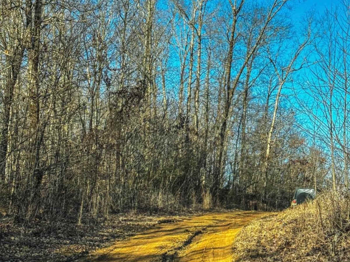 Upper Ridge Trail photo 4