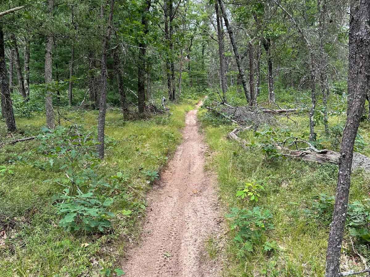 S/W Little Manistee Motorcycle Trail photo 5