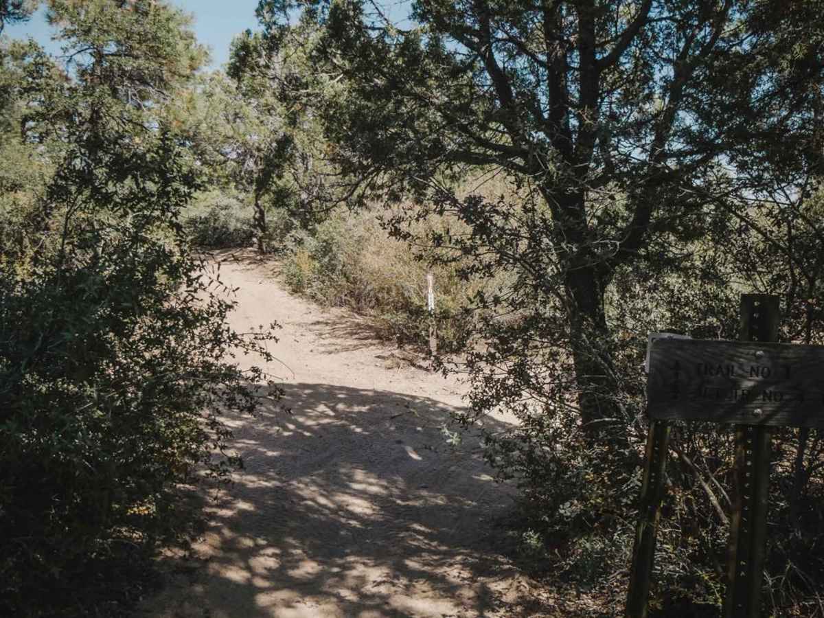 Trail 1 photo 4