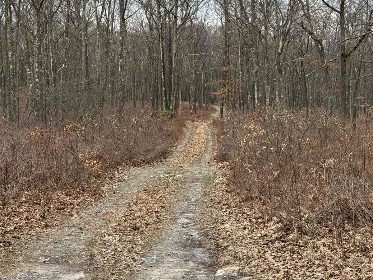 Wolf Run Trail trail photo