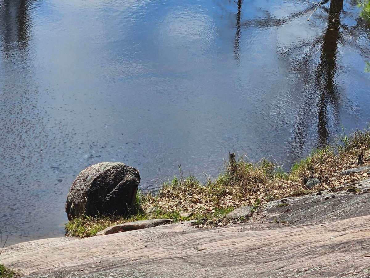 Pencil Lake photo 6