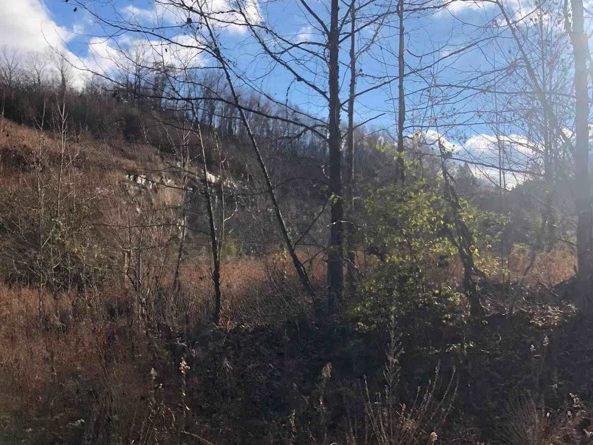 Shagnast Hill trail photo
