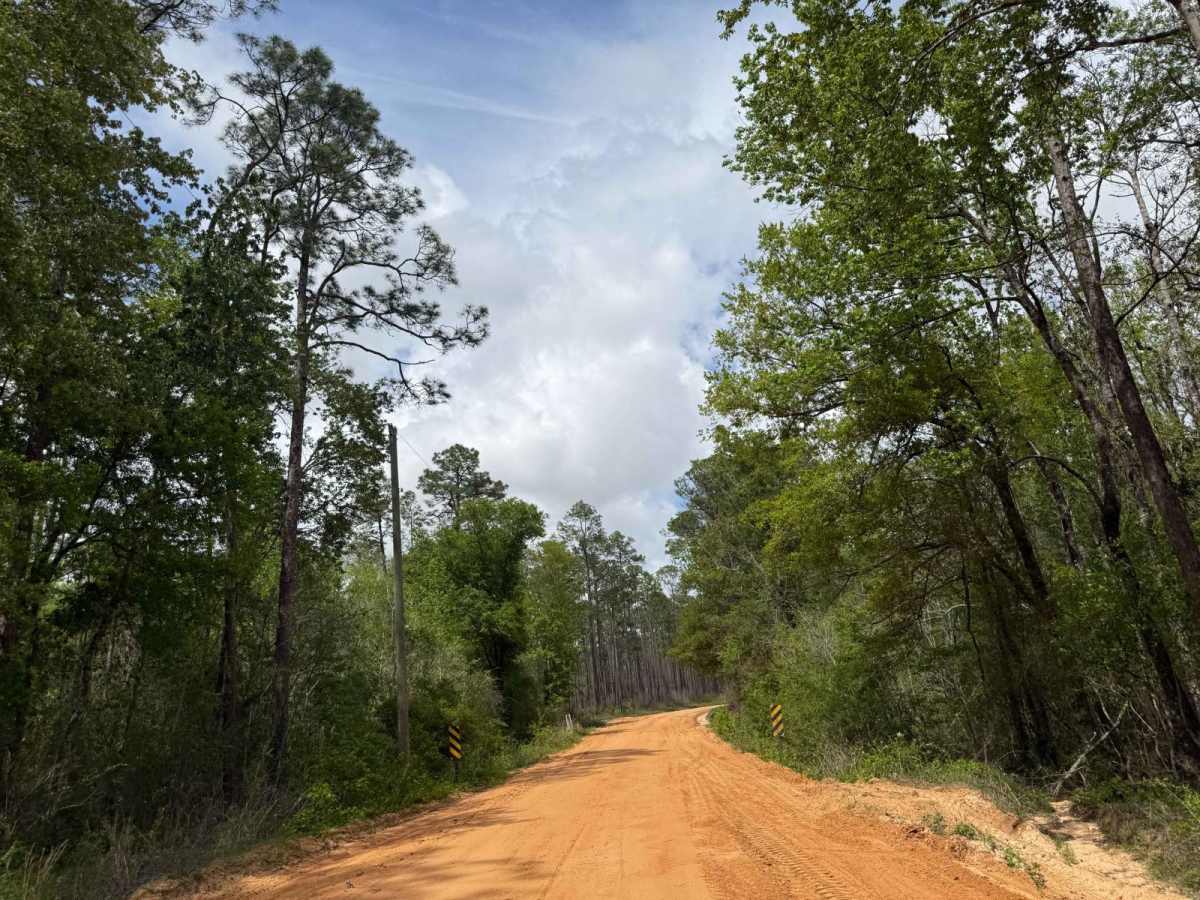 Briar Patch Road - FS 123 North photo 2