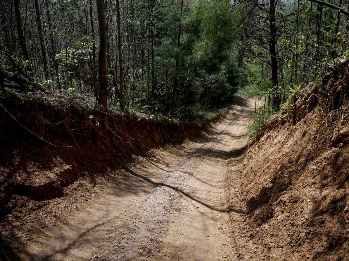 P23 trail photo