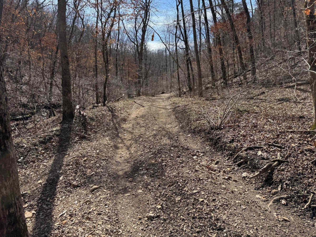 Morgans Creek 377 photo 3