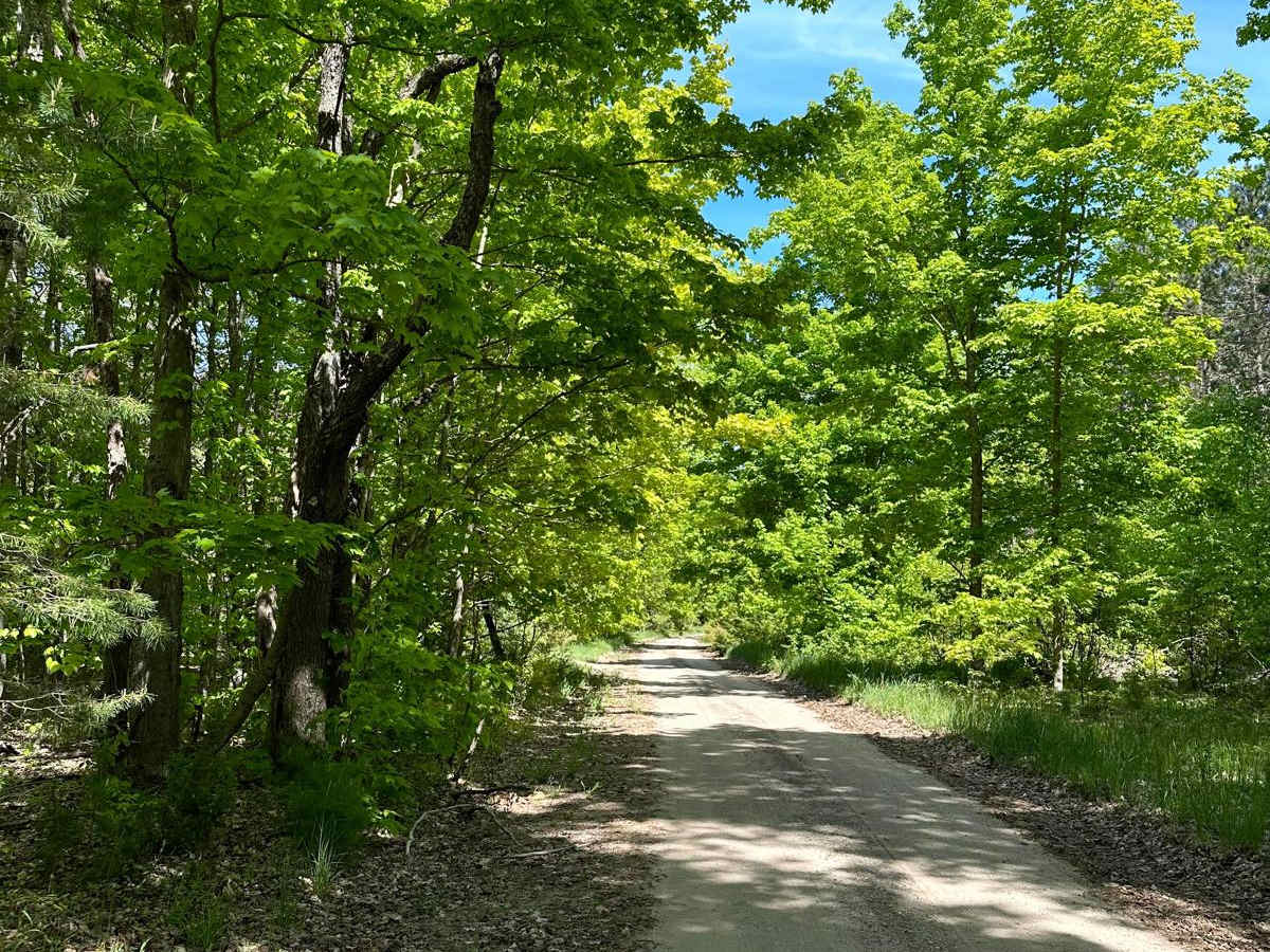 Oviatt Road trail photo