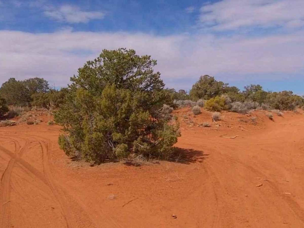 Happy Canyon-BLM16250 photo 2