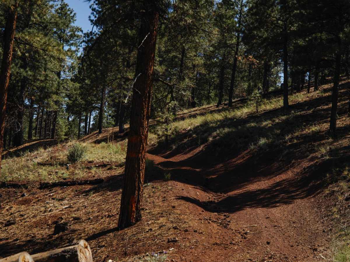 Wooded Trail photo 5