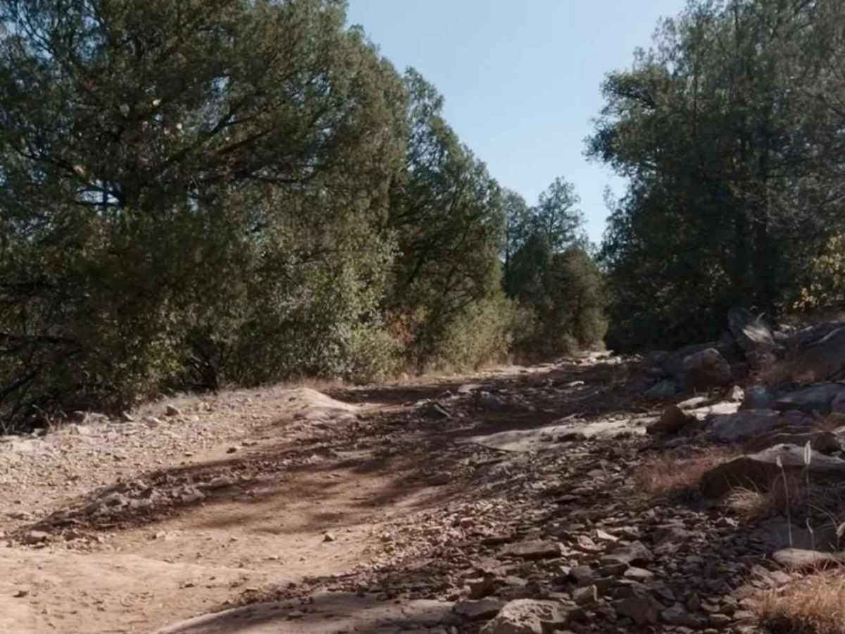 Flowing Springs MT-74 photo 4