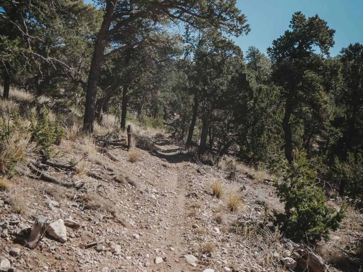West Boundary trail photo
