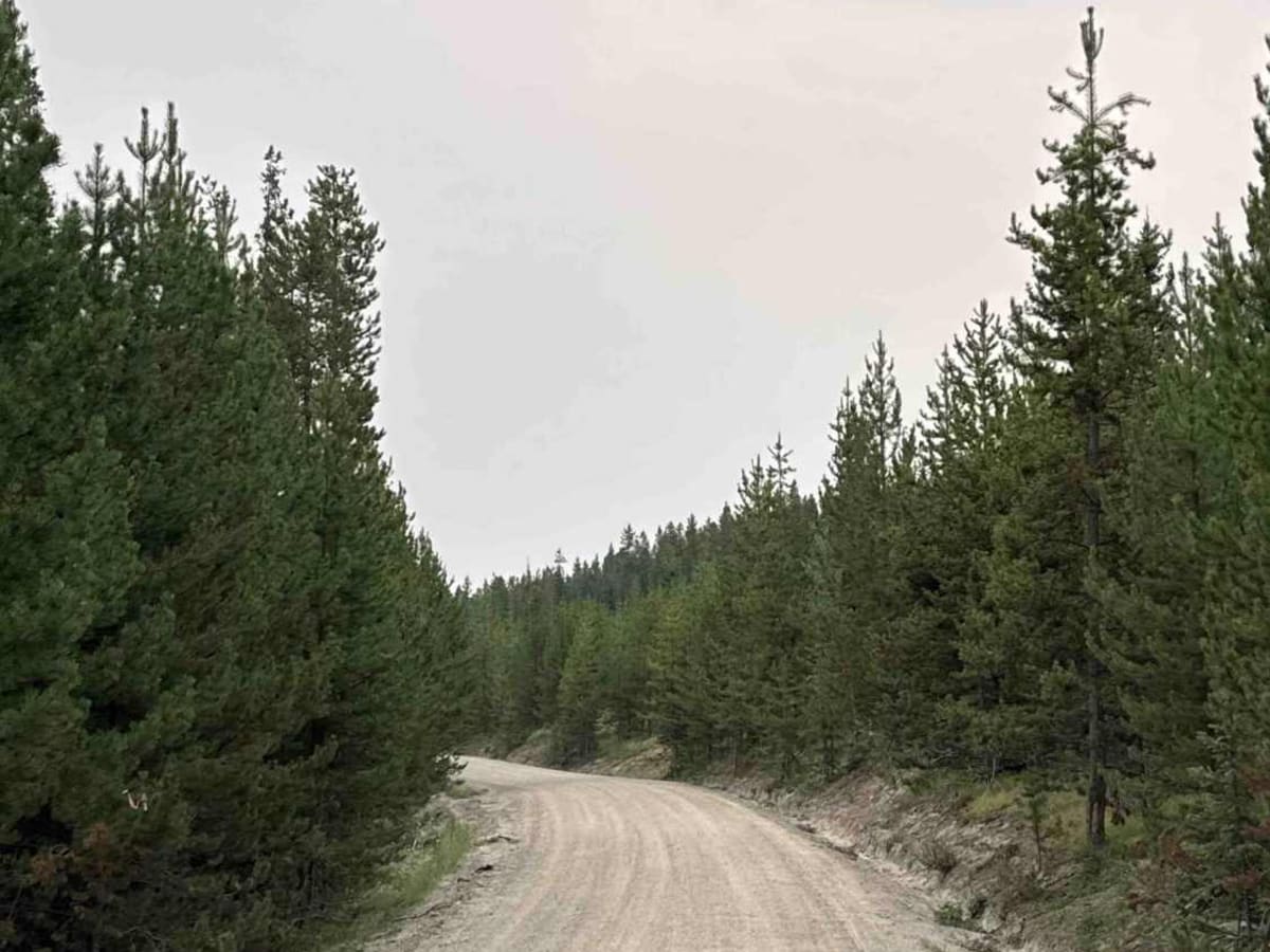 Hatheume Lake Forest Service Road photo 5