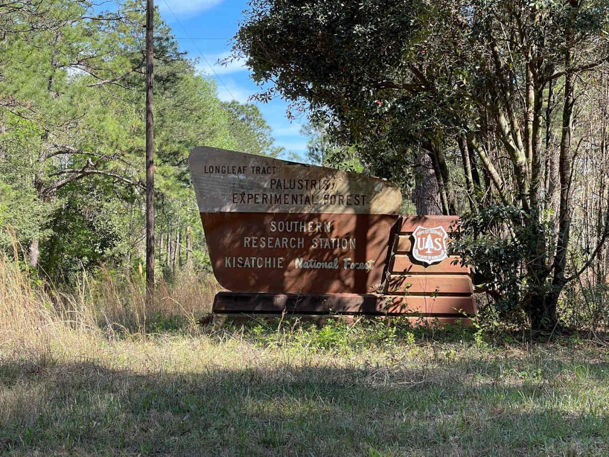 Longleaf Route photo 5