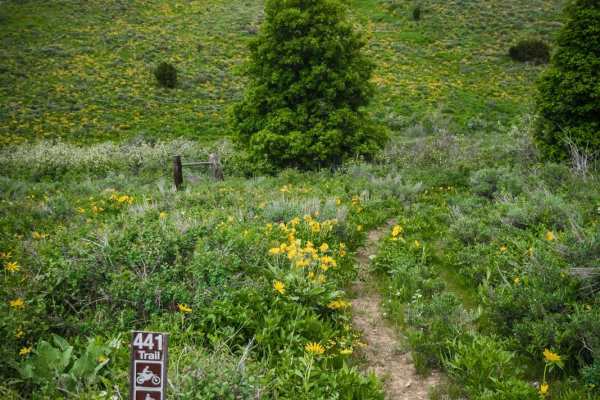 Ruben Hollow to Davis Basin 7441