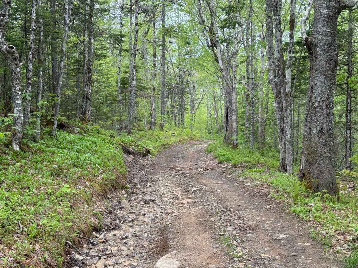 Gillanders Mountain Road West photo 6
