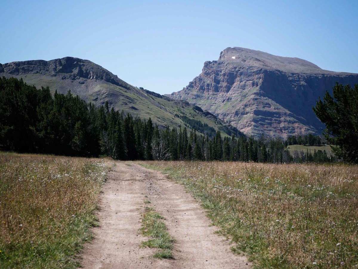 Buck Ridge ATV trail photo