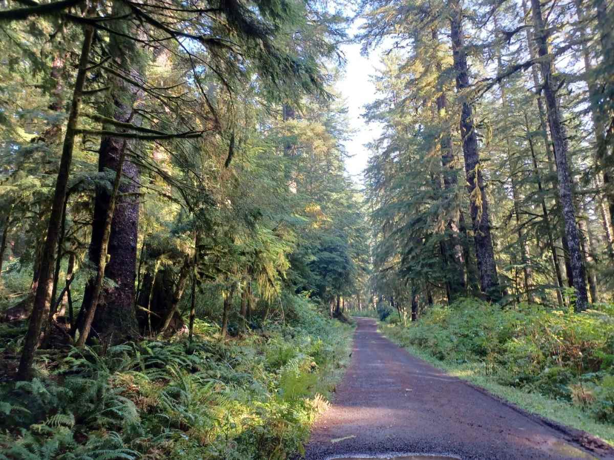 Lewis Creek photo 2