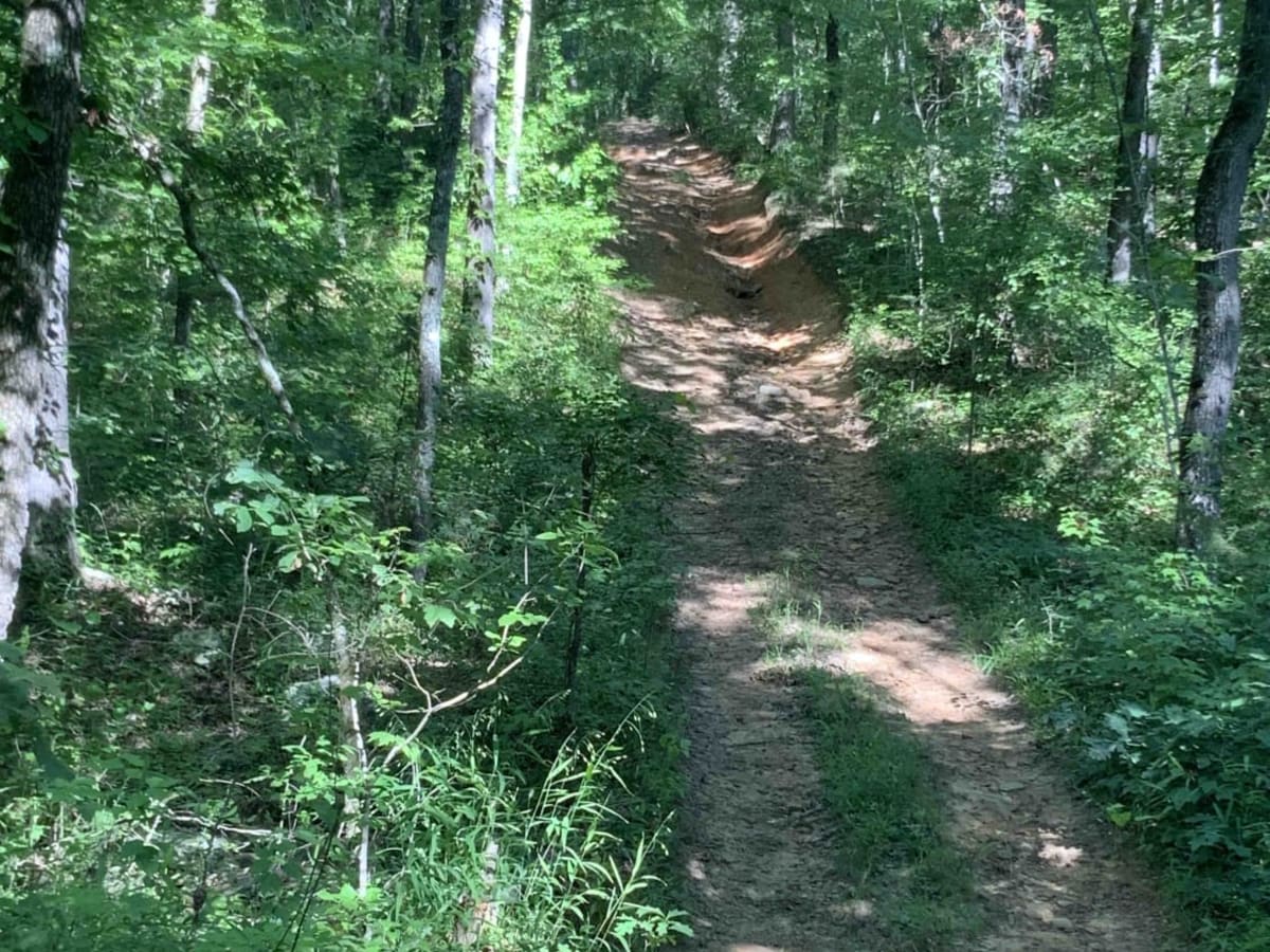 FS 94451A trail photo