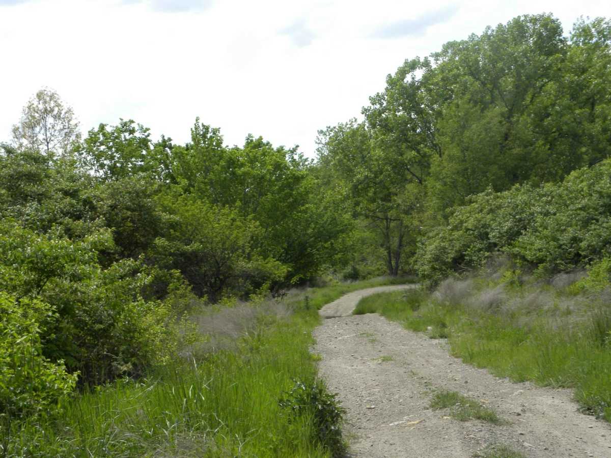 Trail 1A photo 3