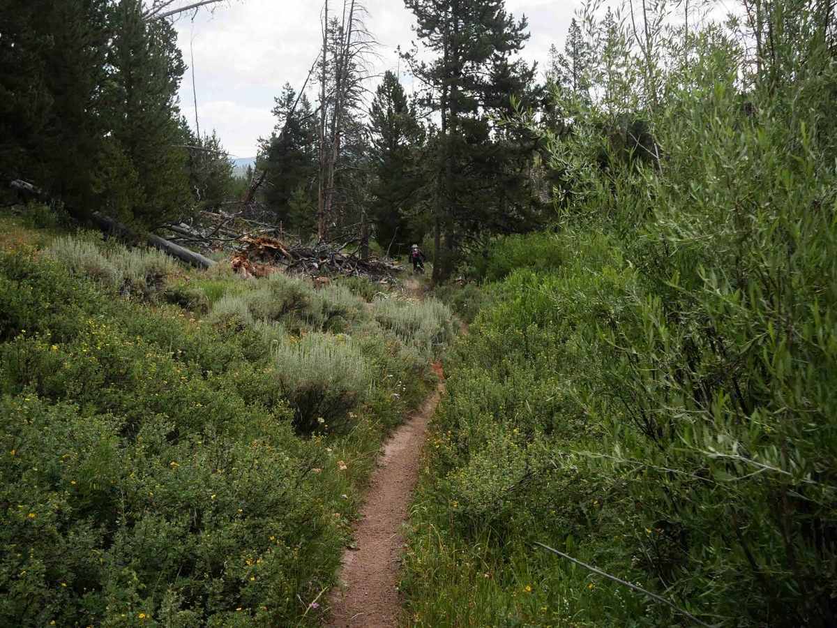 Radial Mountain Trail photo 2