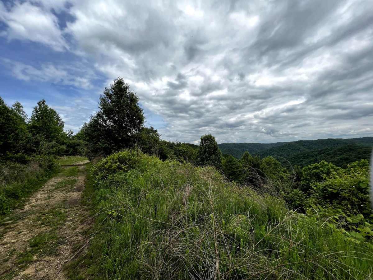 Wild Horse Trail (Lige Hollow) photo 5