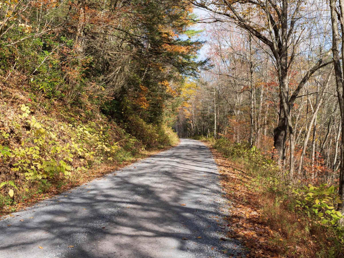 Six Mile Run Road photo 5