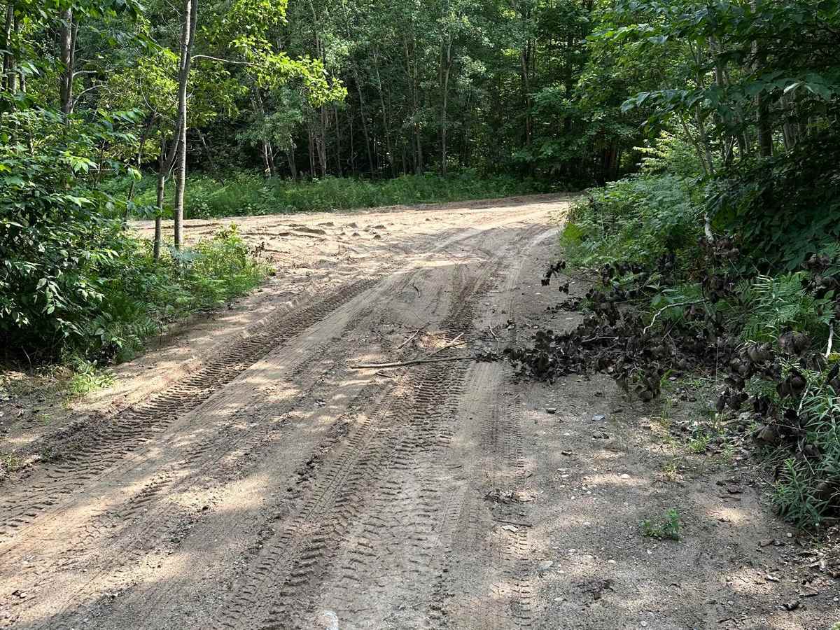 Lost Lake Road trail photo