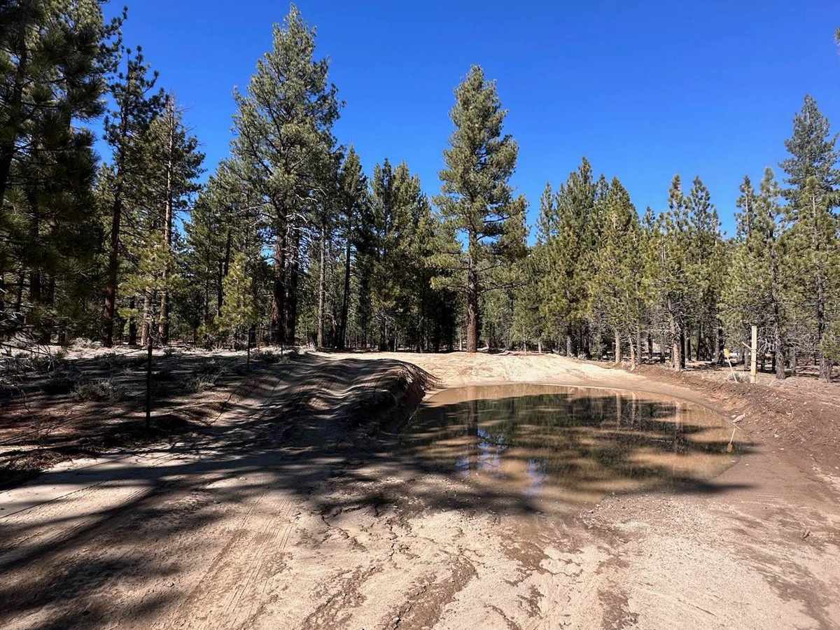 Van Dusen Creek - 3N07 photo 5