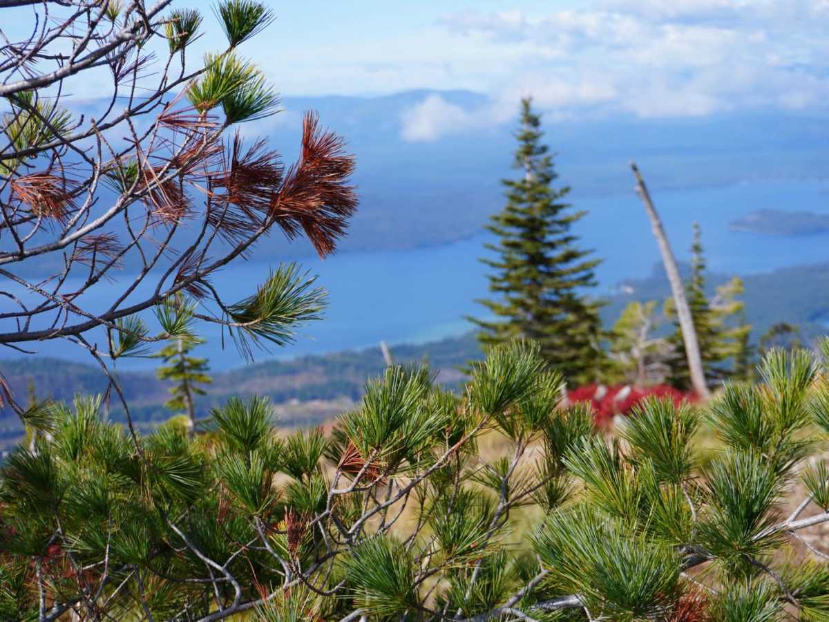 Sundance Mountain trail photo