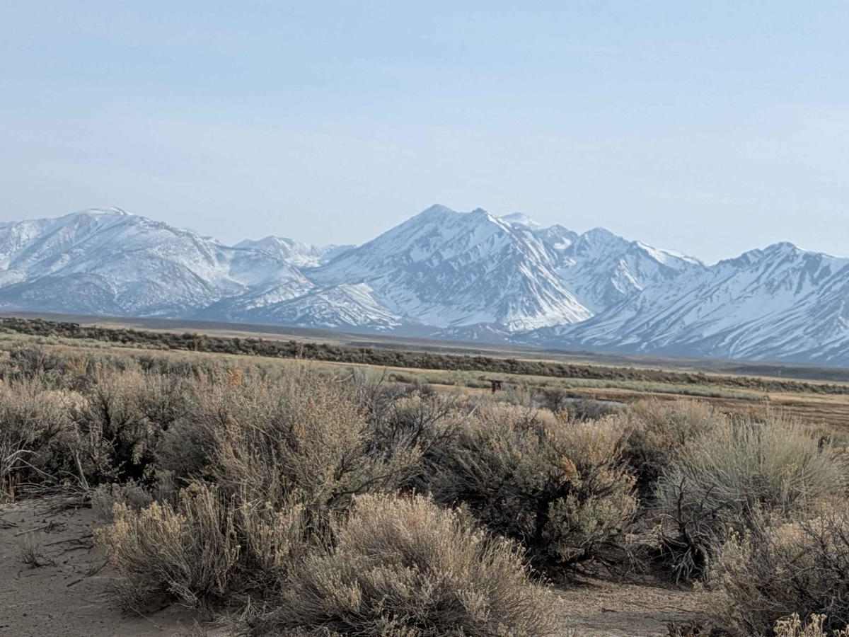 O'Harrel Cyn Spur - FS 3S47A photo 4