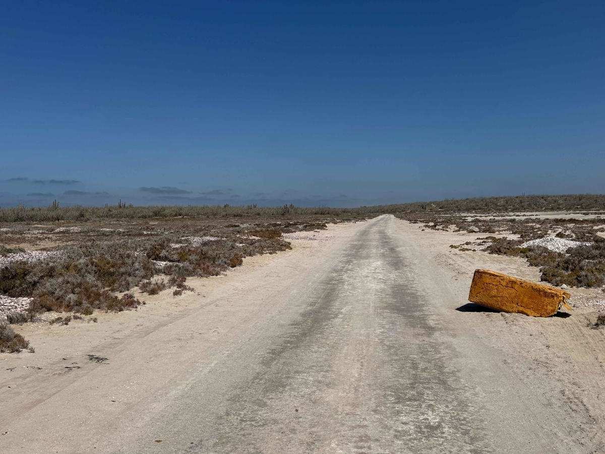 Landfill Road photo 6