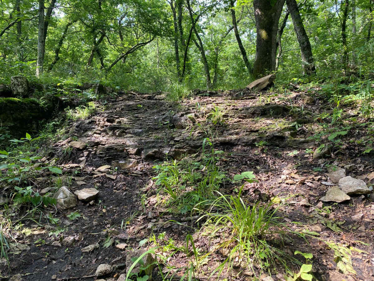Little Black trail photo