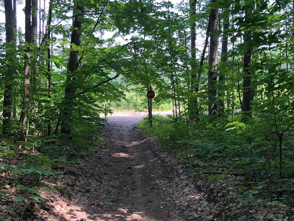 MCCCT - 66 to North 7 Mile photo 6